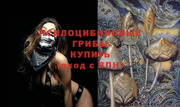 ALPHA-PVP Медногорск
