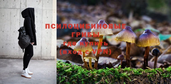 ешки Медвежьегорск
