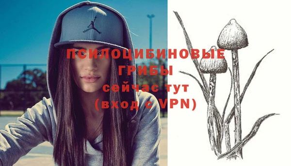 ешки Медвежьегорск
