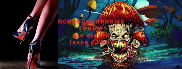 ешки Медвежьегорск