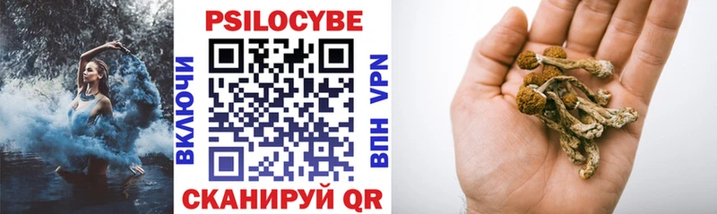 Псилоцибиновые грибы Psilocybe  Купить  Пыть-Ях 